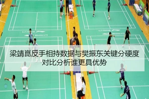 梁靖崑反手相持数据与樊振东关键分硬度对比分析谁更具优势